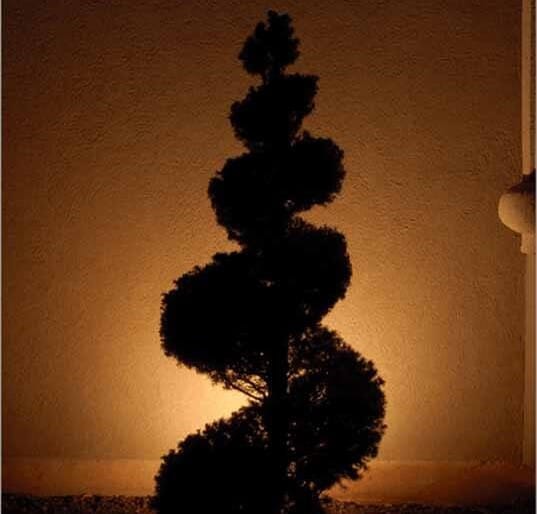 Silhouetting - 6 Simple Ways to Use Landscape Lighting - LightsOnline Blog
