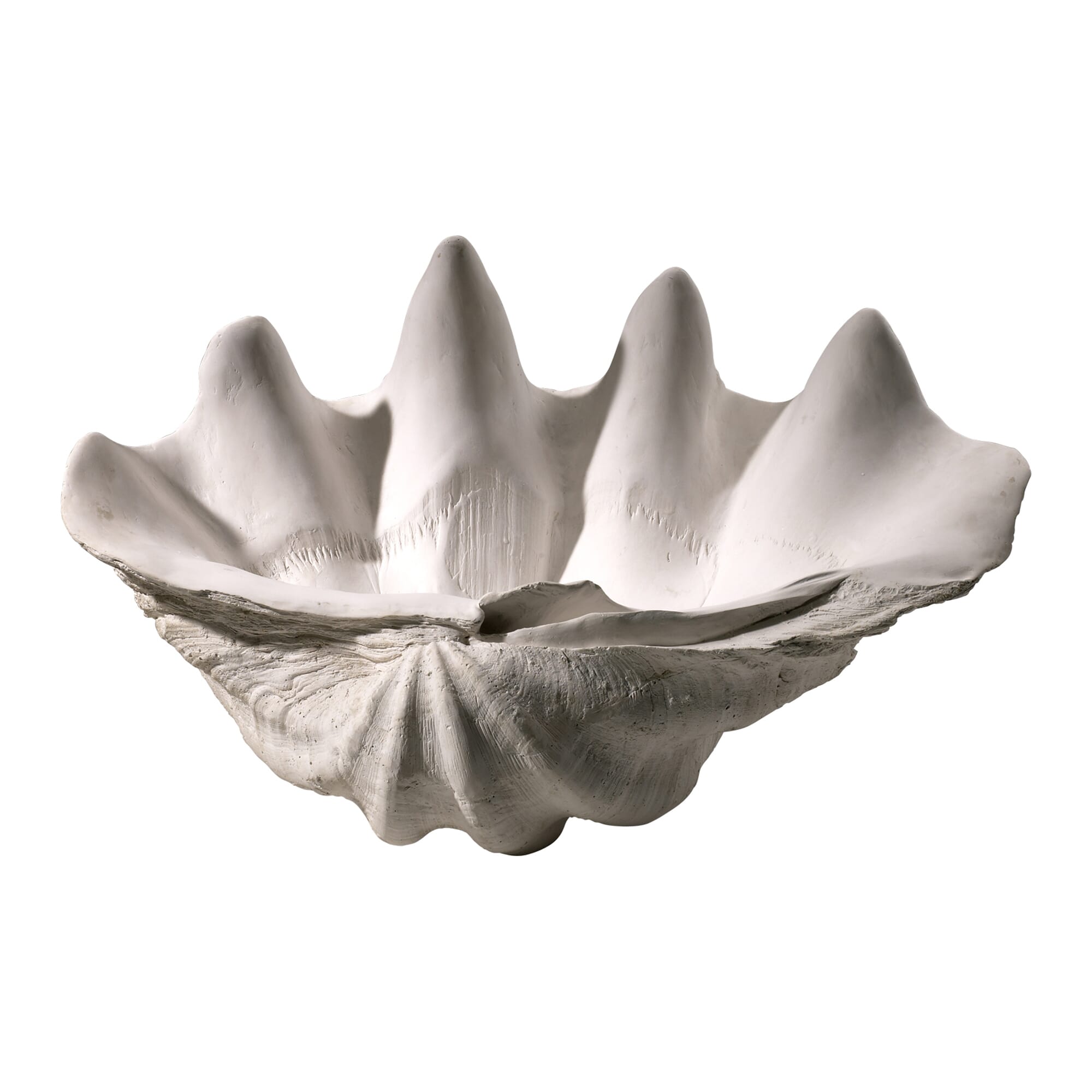Clam Shell Bowl in White