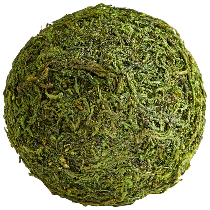 Cyan Design Small Bermuda Filler in Green Moss Cyan Design Small Bermuda Filler in Green Moss