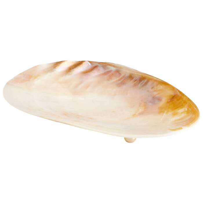 Cyan Design Small Abalone Tray in Pearl Cyan Design Small Abalone Tray in Pearl