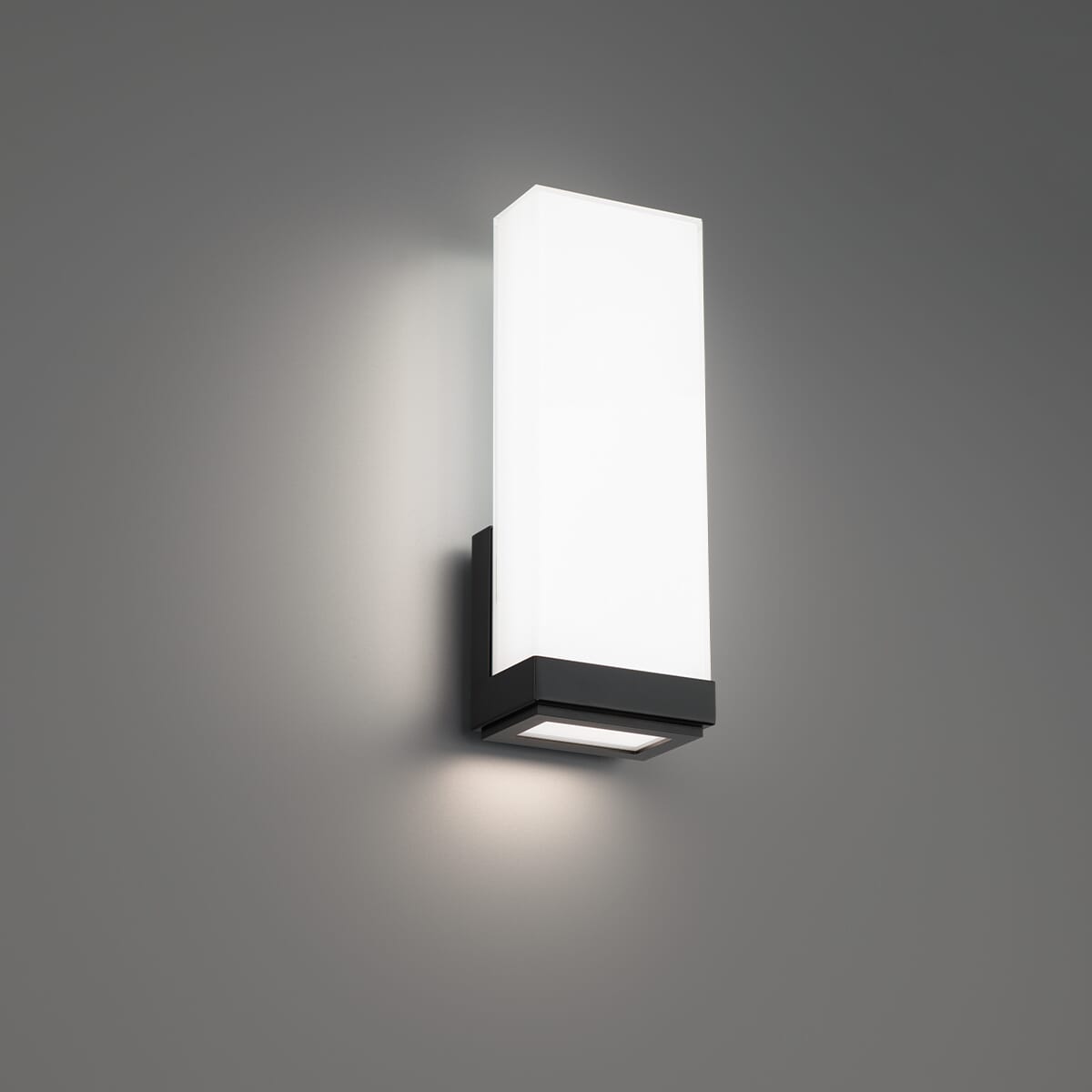 LED Wall Sconce