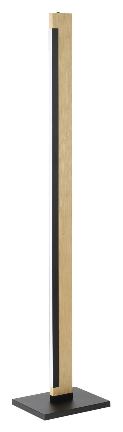 Camacho 1-Light LED Floor Lamp in Black