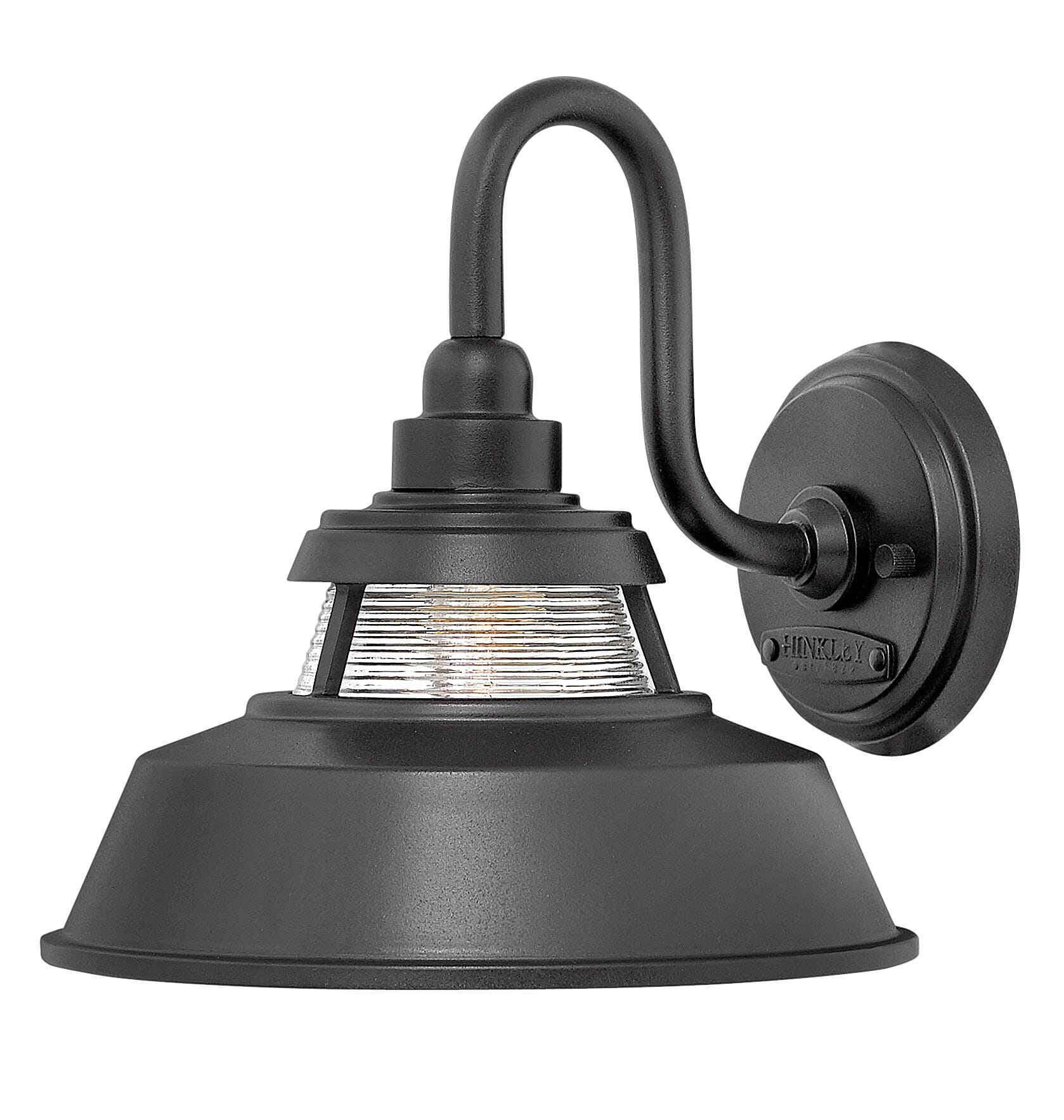 Troyer 1-Light Outdoor Light In Black