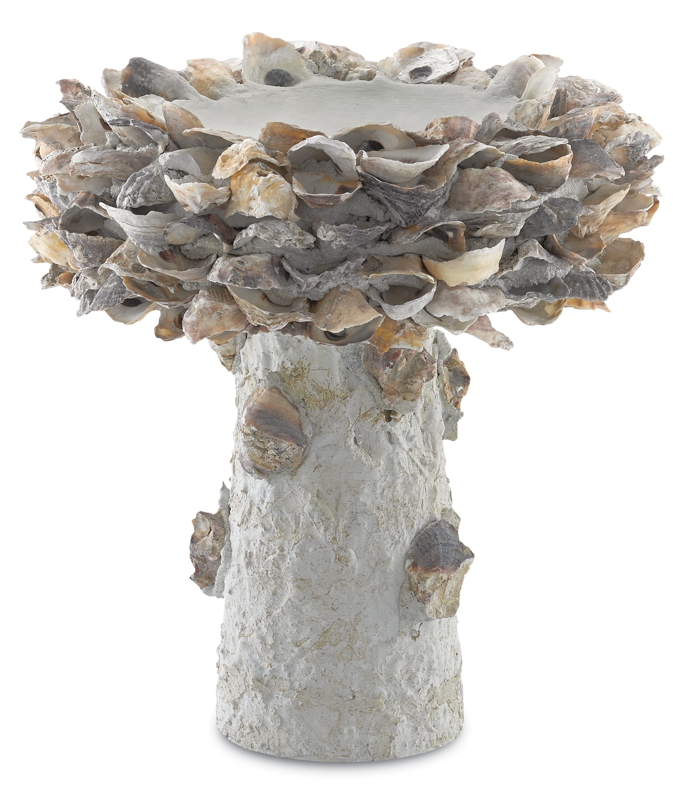 14" Oyster Shell Small Bird Bath in Natural