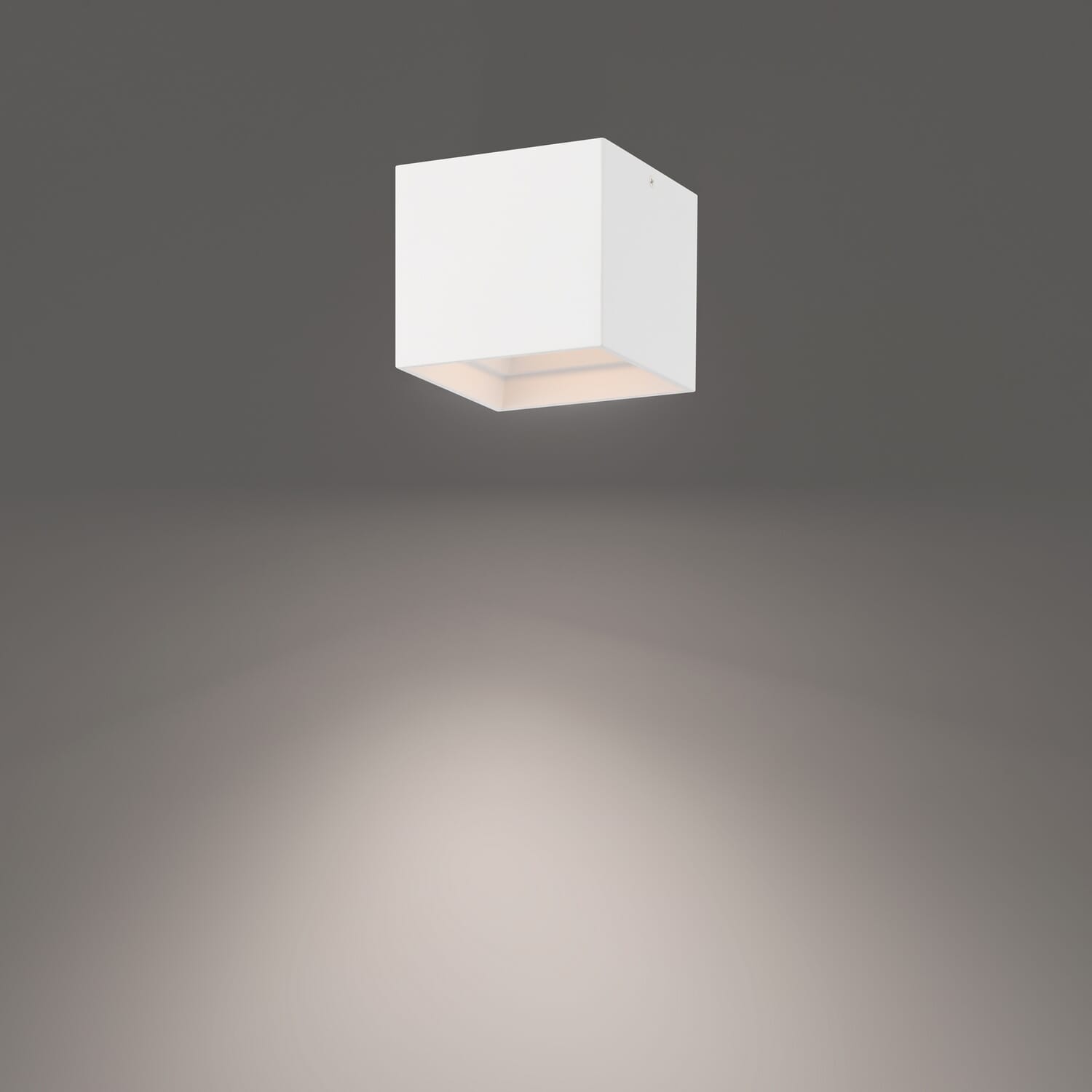 LED Outdoor Flush Mount