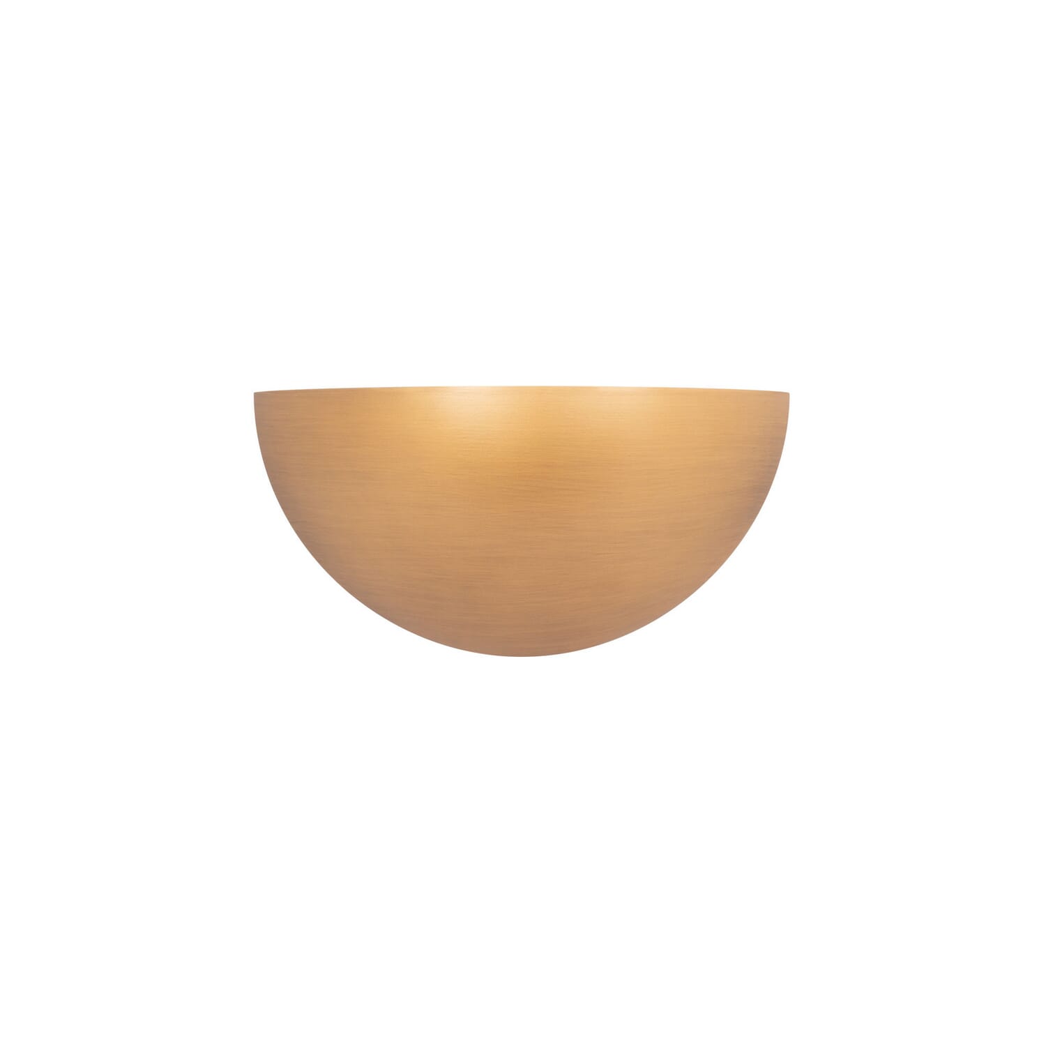 LED Wall Sconce