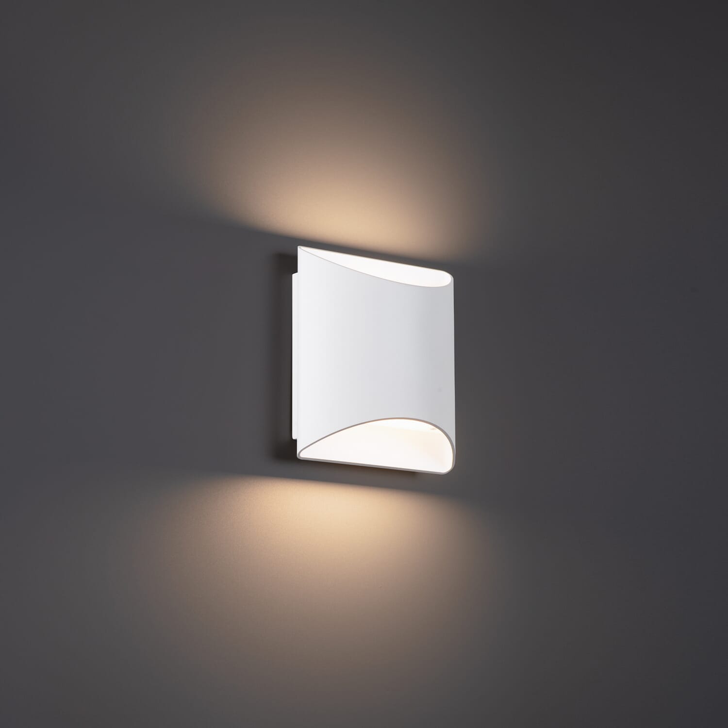 LED Wall Sconce