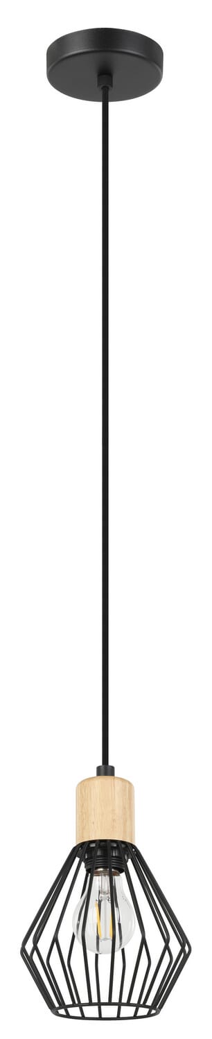 Palmorla 1-Light Pendant in Structured Black