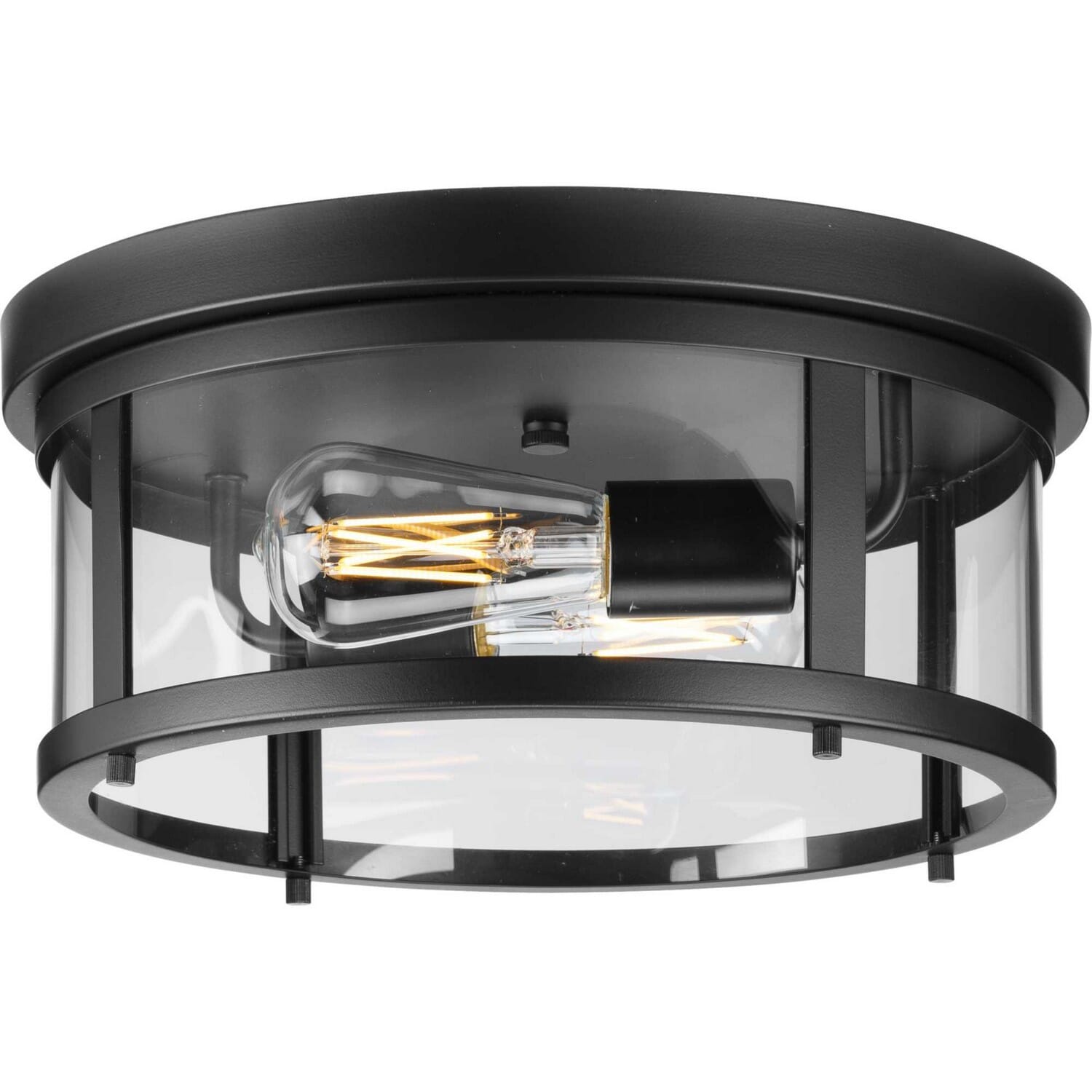 Matte Black Two Light Outdoor Flush Mount from the Gunther Collection