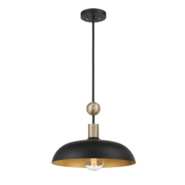 One Light Pendant One Light Pendant