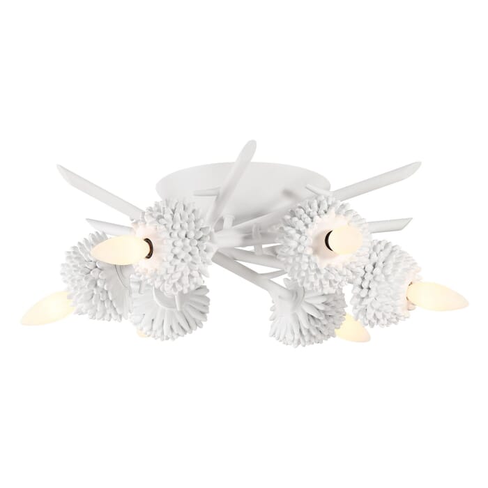 Six Light Flush Mount Six Light Flush Mount