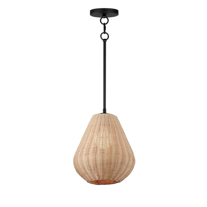 Maldives 1-Light LED Pendant in Black Maldives 1-Light LED Pendant in Black