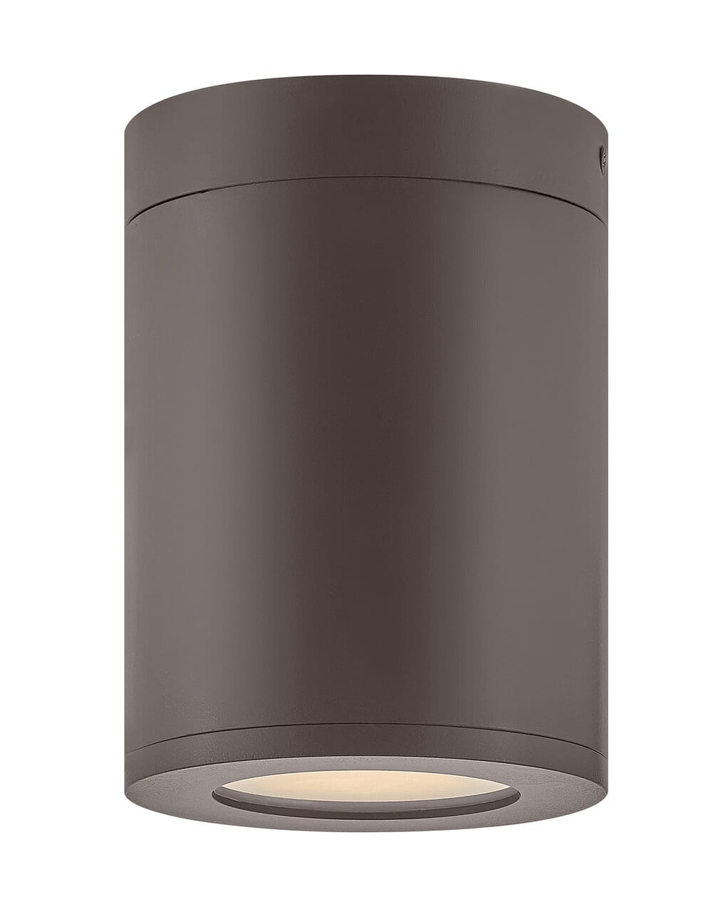 Silo 1-Light Flush Mount Outdoor Ceiling Light In Architectural Bronze