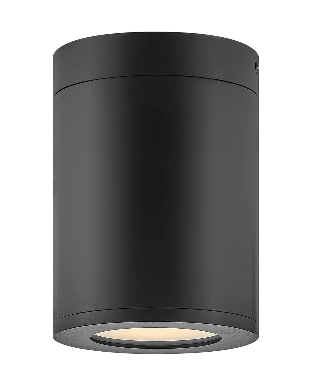 Silo 1-Light Flush Mount Outdoor Ceiling Light In Black