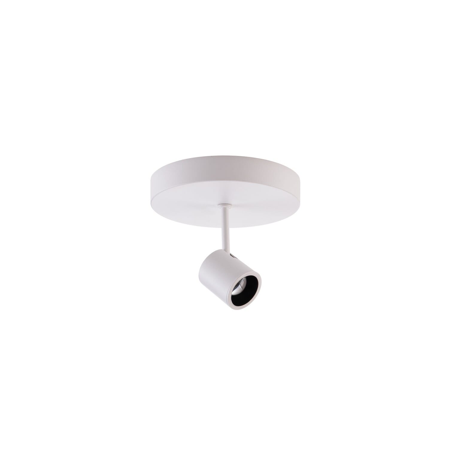 LED Spot Light