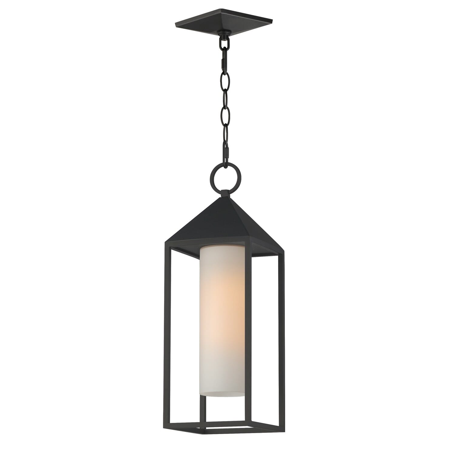 Aldous 1-Light Outdoor Pendant in Black