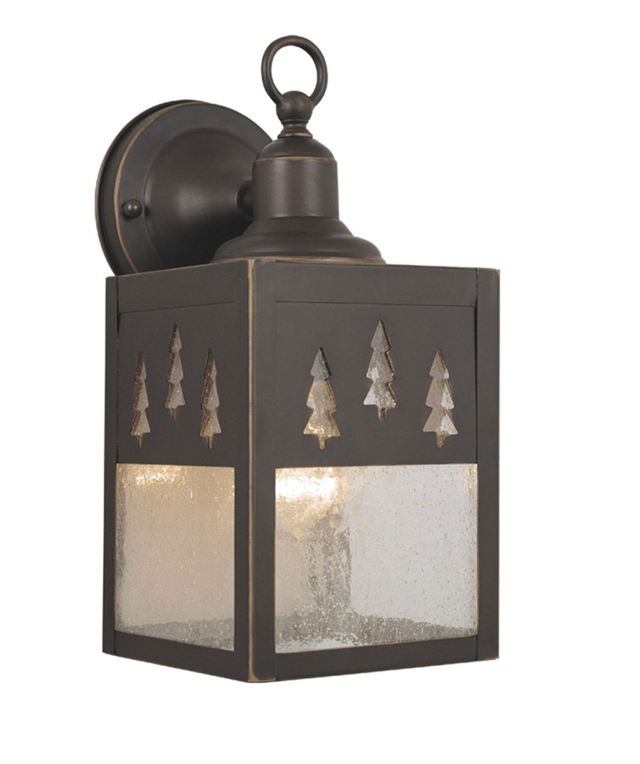 Yosemite 1-Light Outdoor Wall Mount in Burnished Bronze