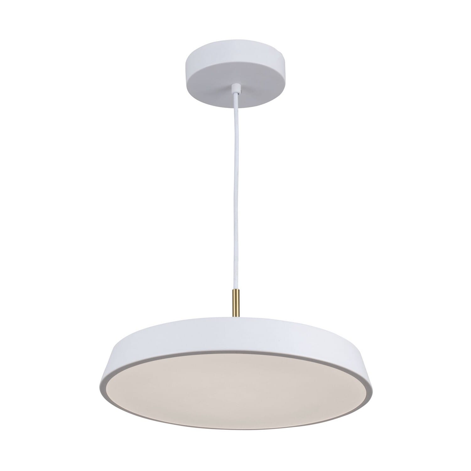 LED Pendant