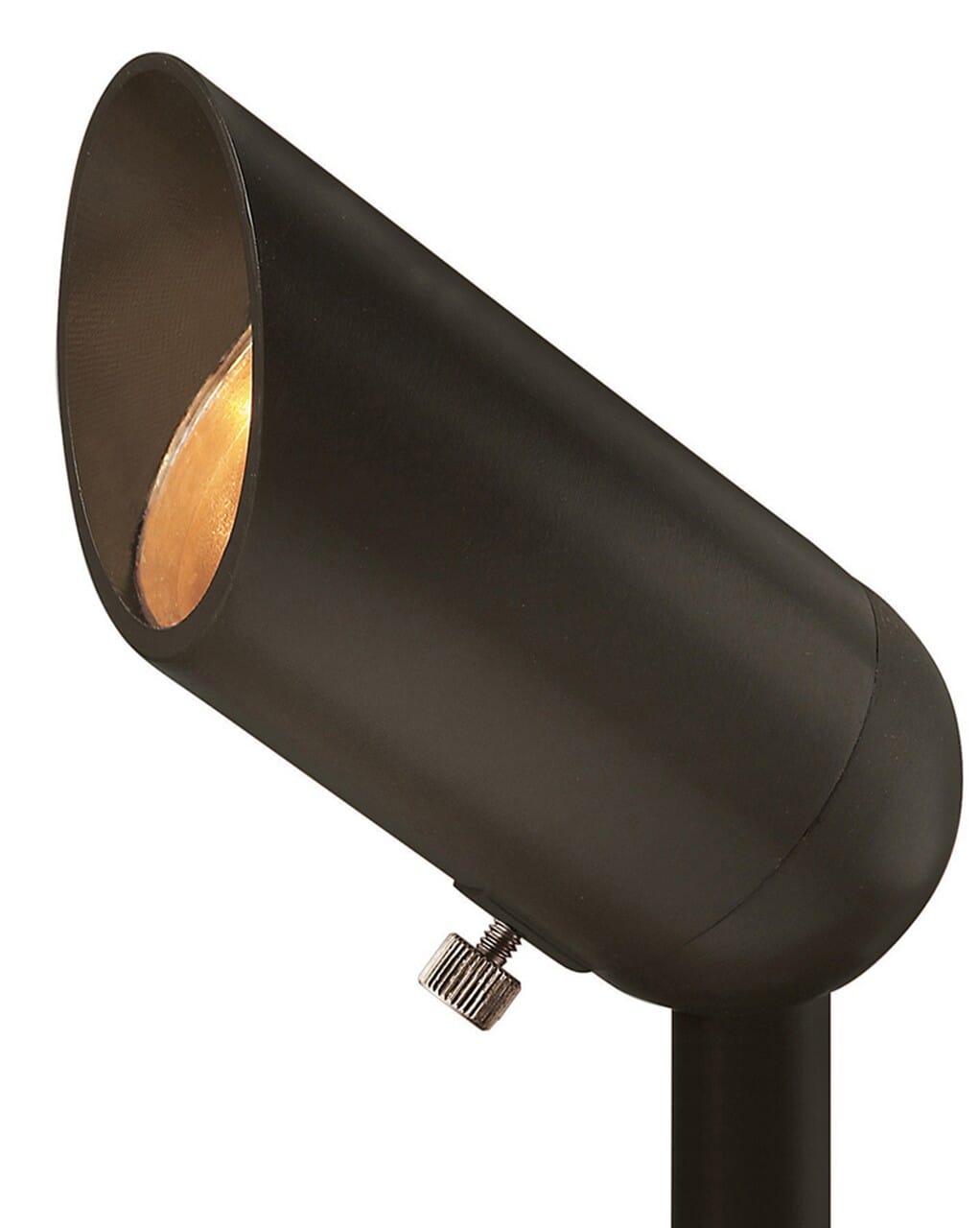 LED Landscape Accent