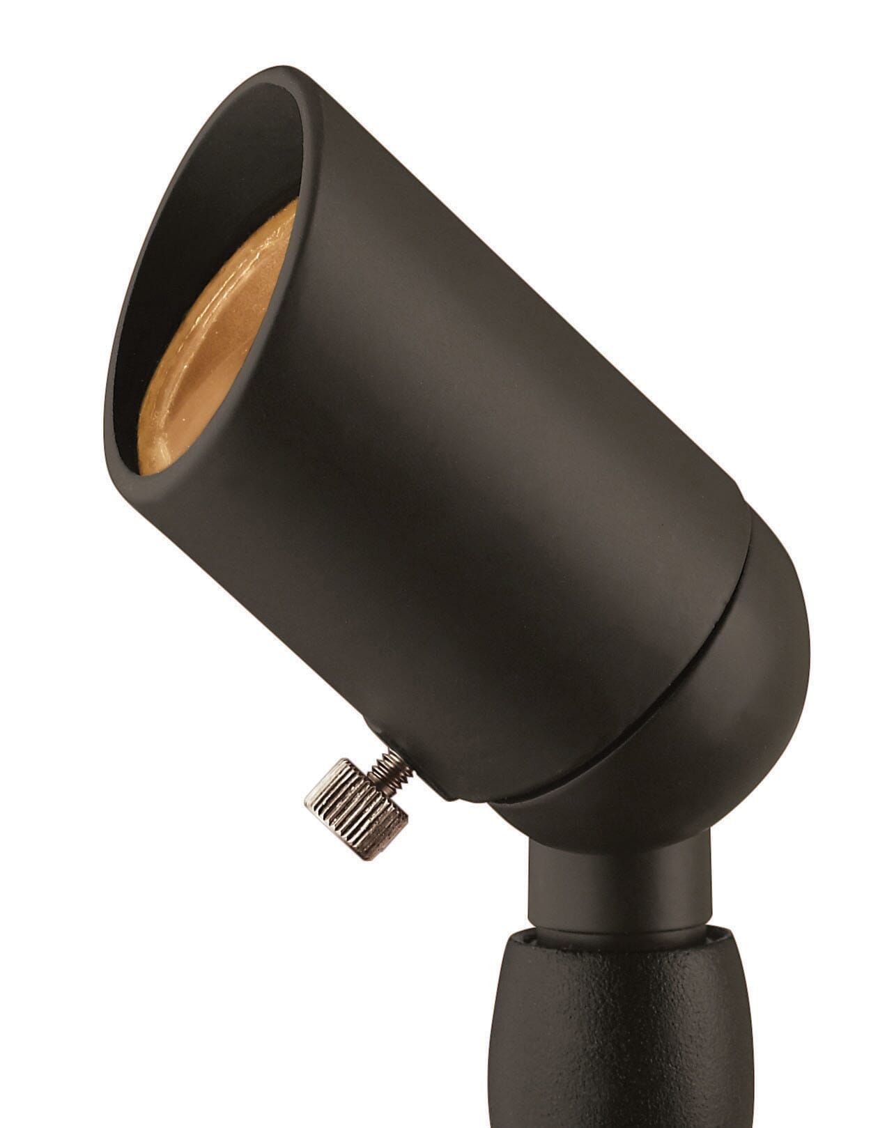 Bronze LED Landscape Spot from the Accent Spot Light Collection