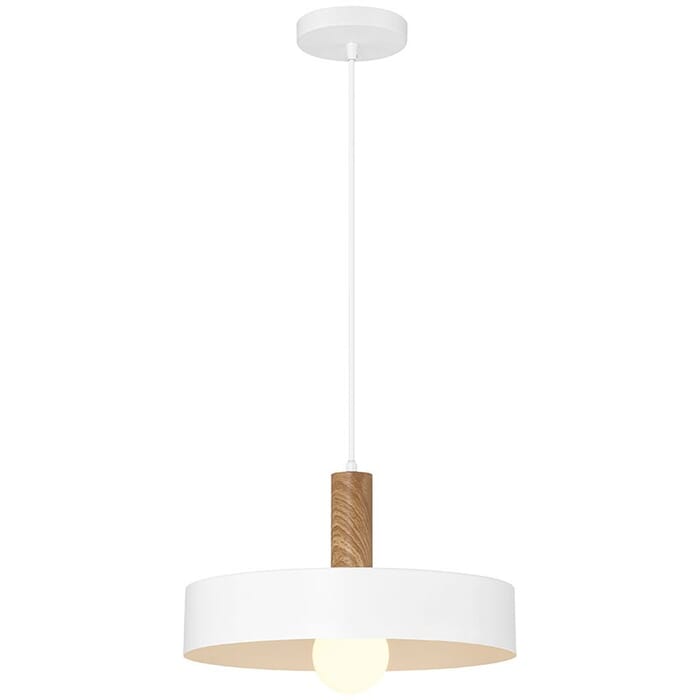 One Light Pendant One Light Pendant