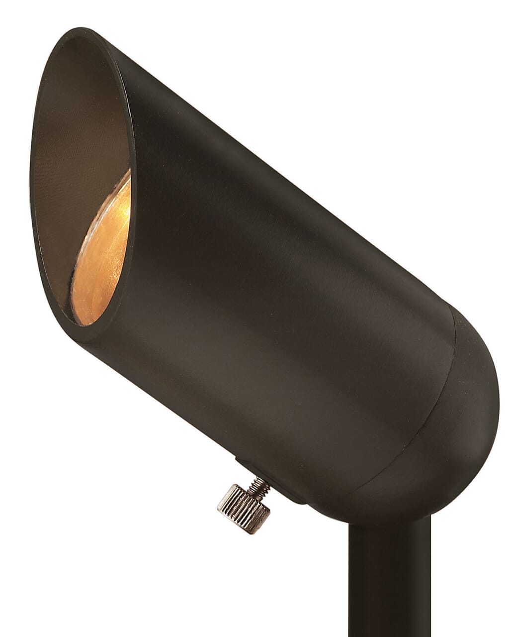 Accent Spot Flood Light in Bronze