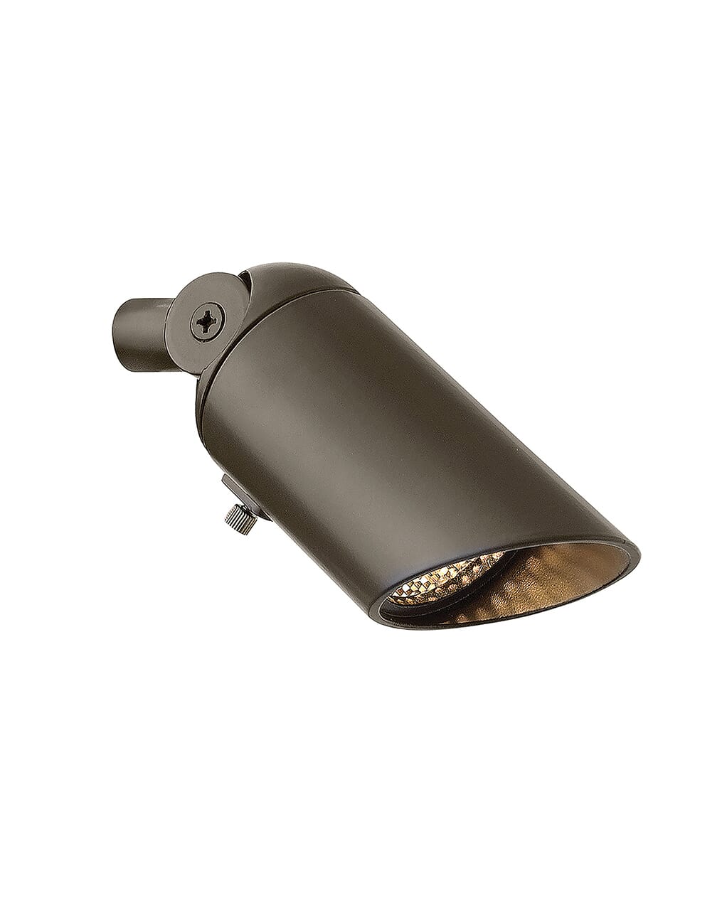 Accent Spot Flood Light in Bronze