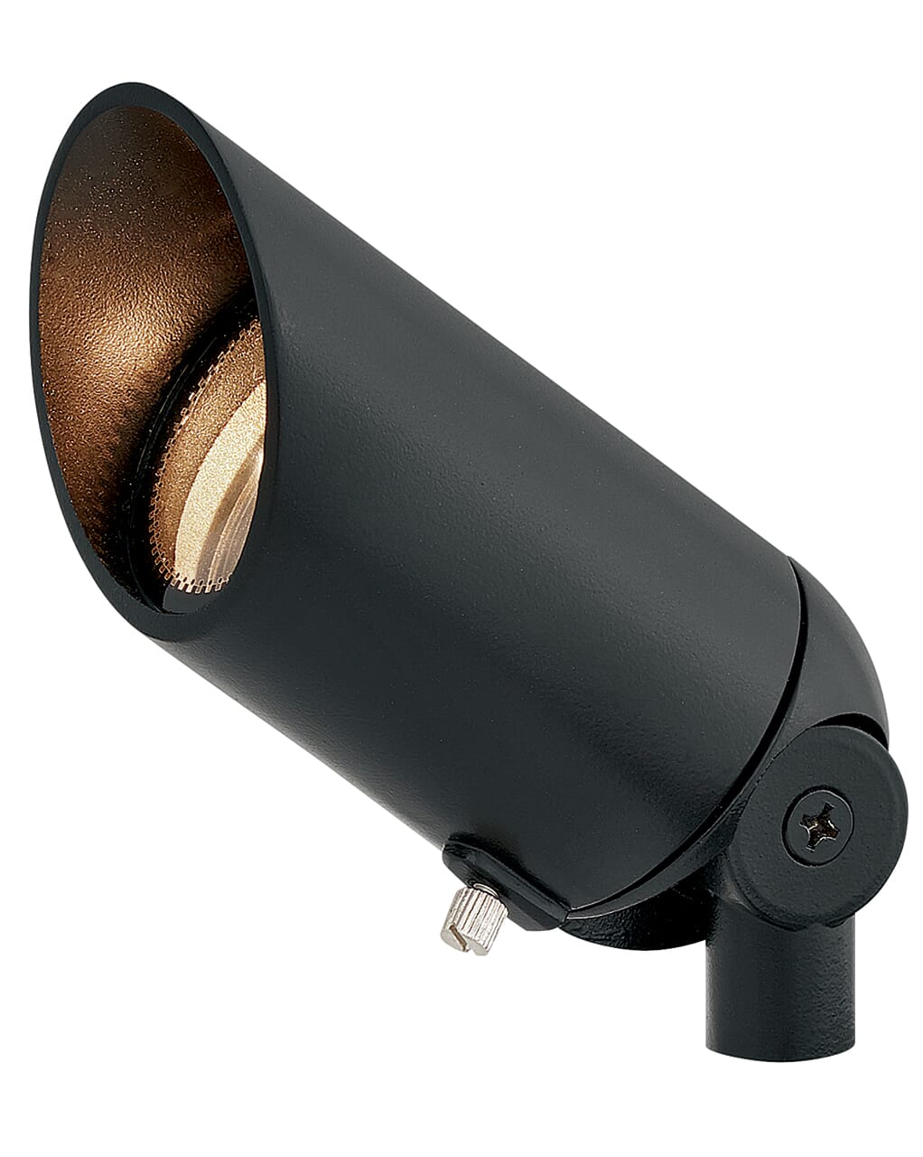 Accent Spot Flood Light in Satin Black