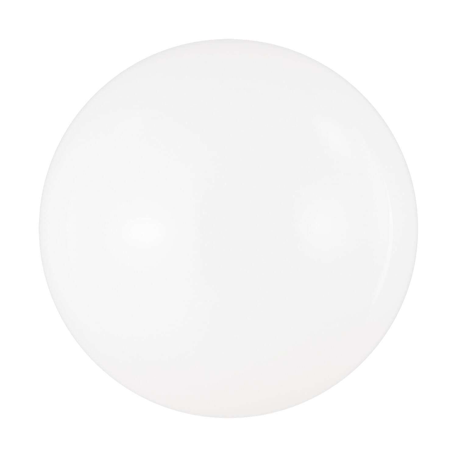 One Light Wall Sconce