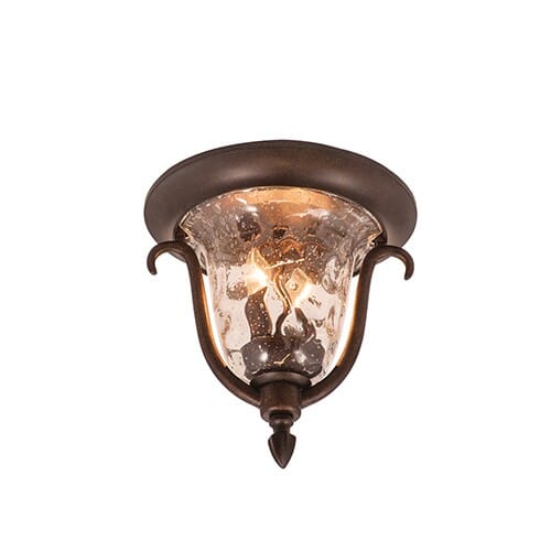 Two Light Outdoor Flush Mount