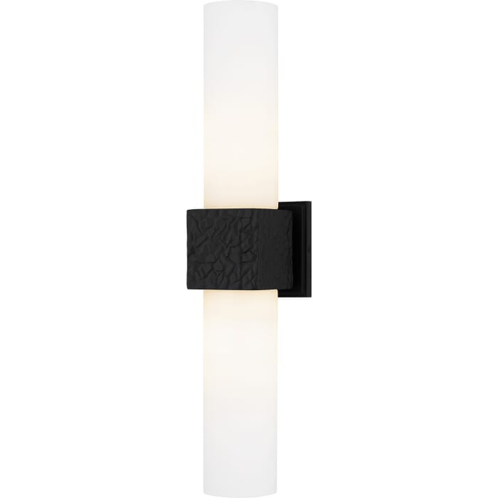 Two Light Wall Sconce Two Light Wall Sconce