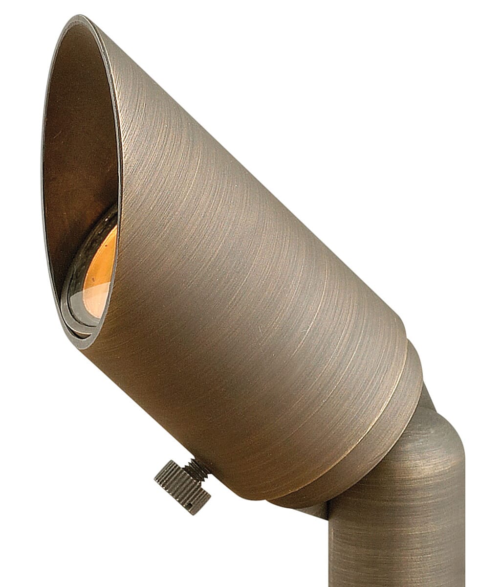 Hardy Island 1-Light Outdoor Landscape Spot in Matte Bronze