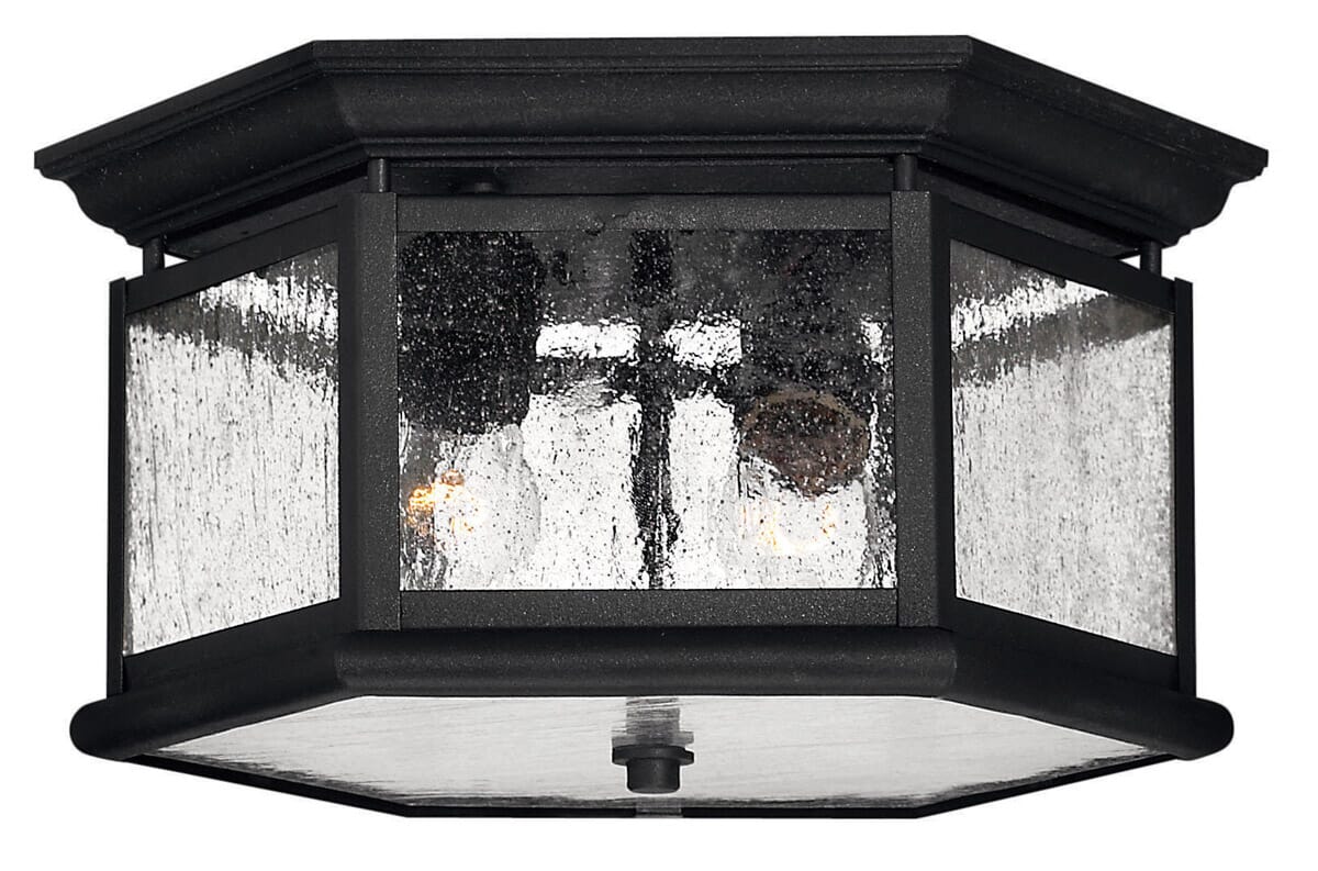 Edgewater 2-Light Flush Mount Outdoor Ceiling Light In Black