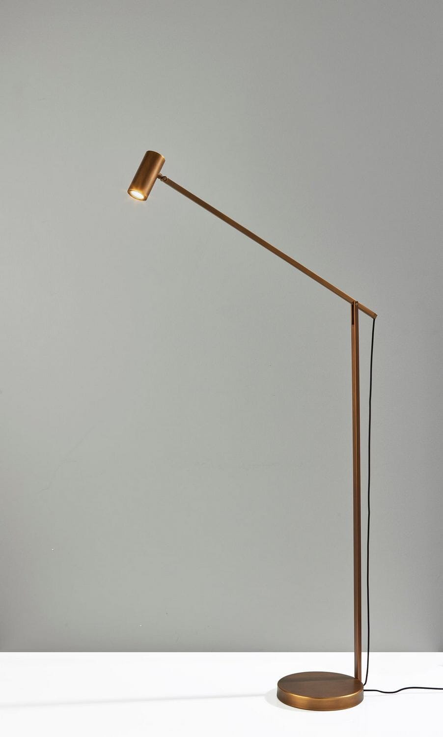 LED Floor Lamp