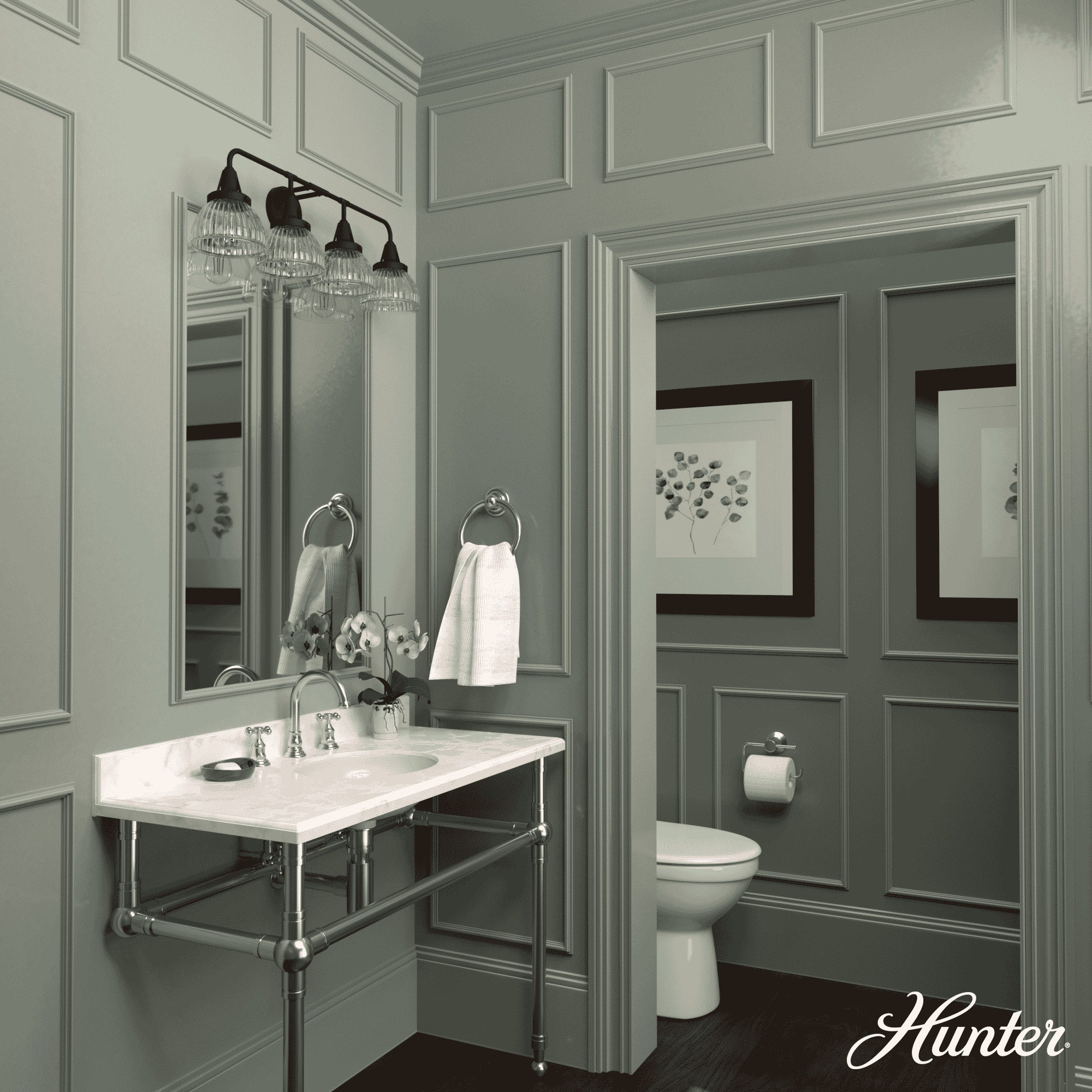Hunter Cypress Grove 4-Light Bathroom Vanity Light in Natural Iron