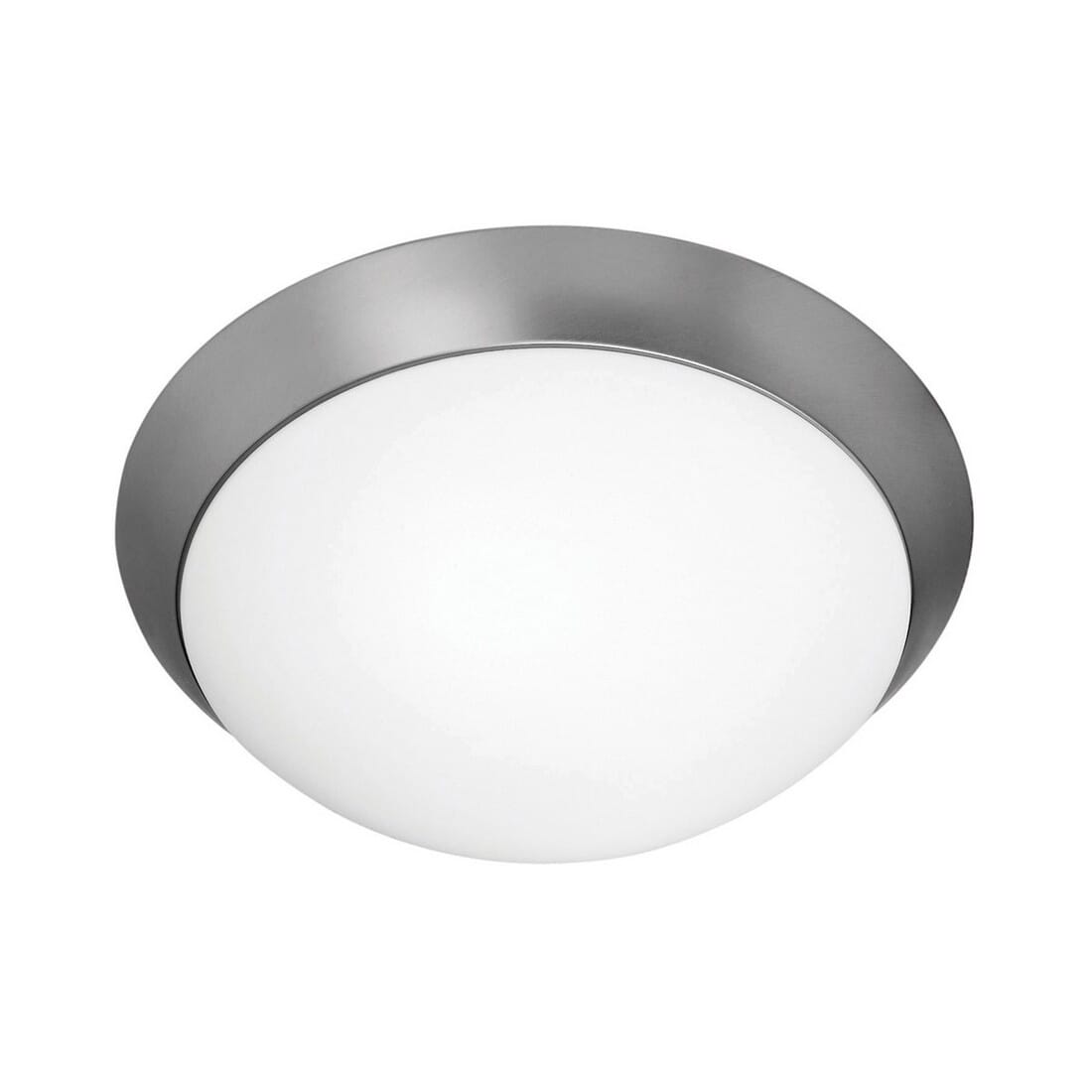 Access Cobalt 2-Light Ceiling Light in Brushed Steel