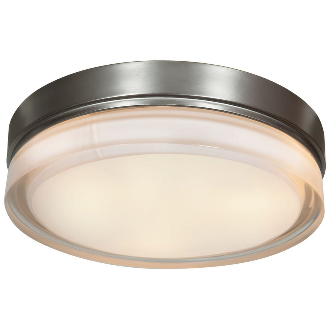 Access Solid Ceiling Light in Brushed Steel