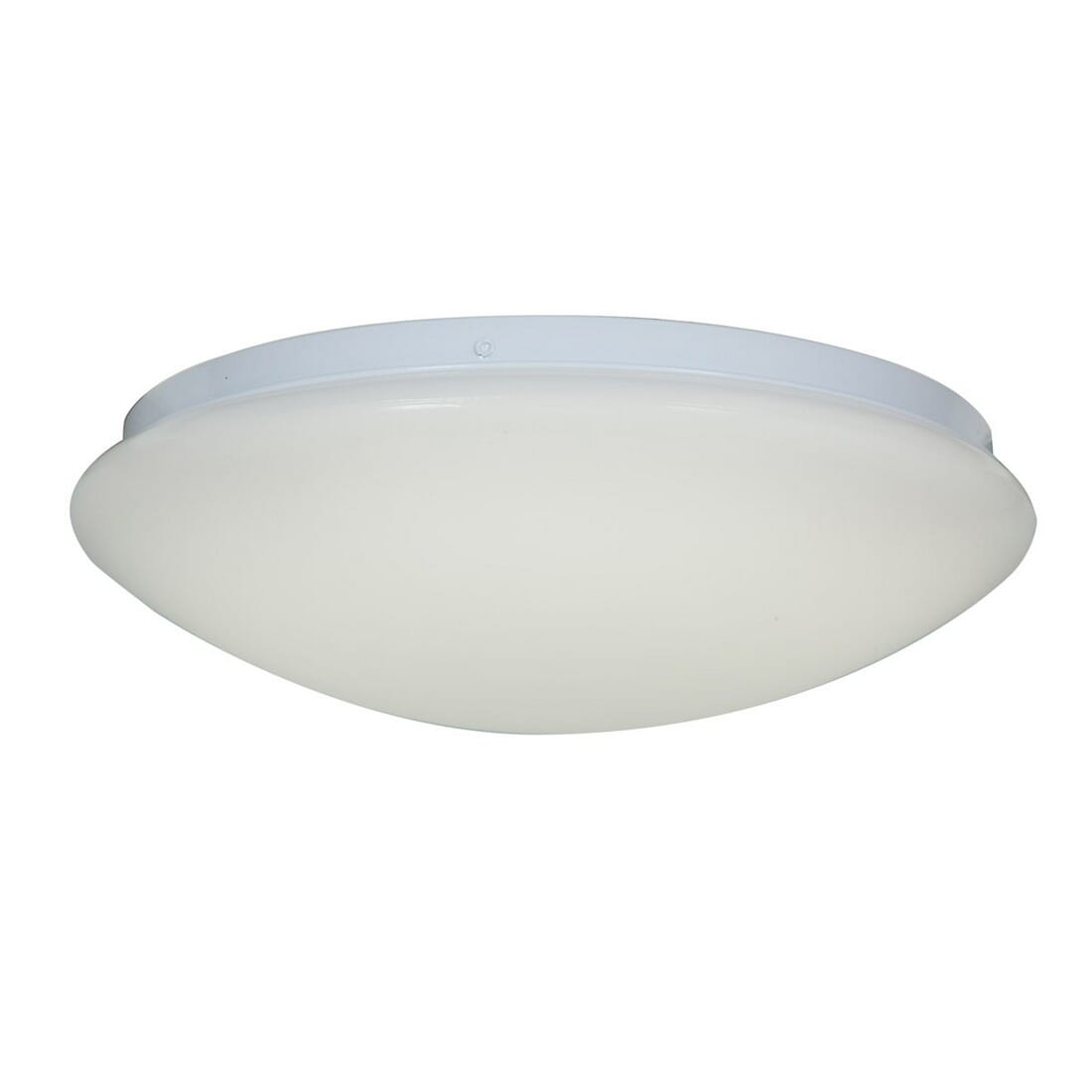 Access Catch Ceiling Light in White