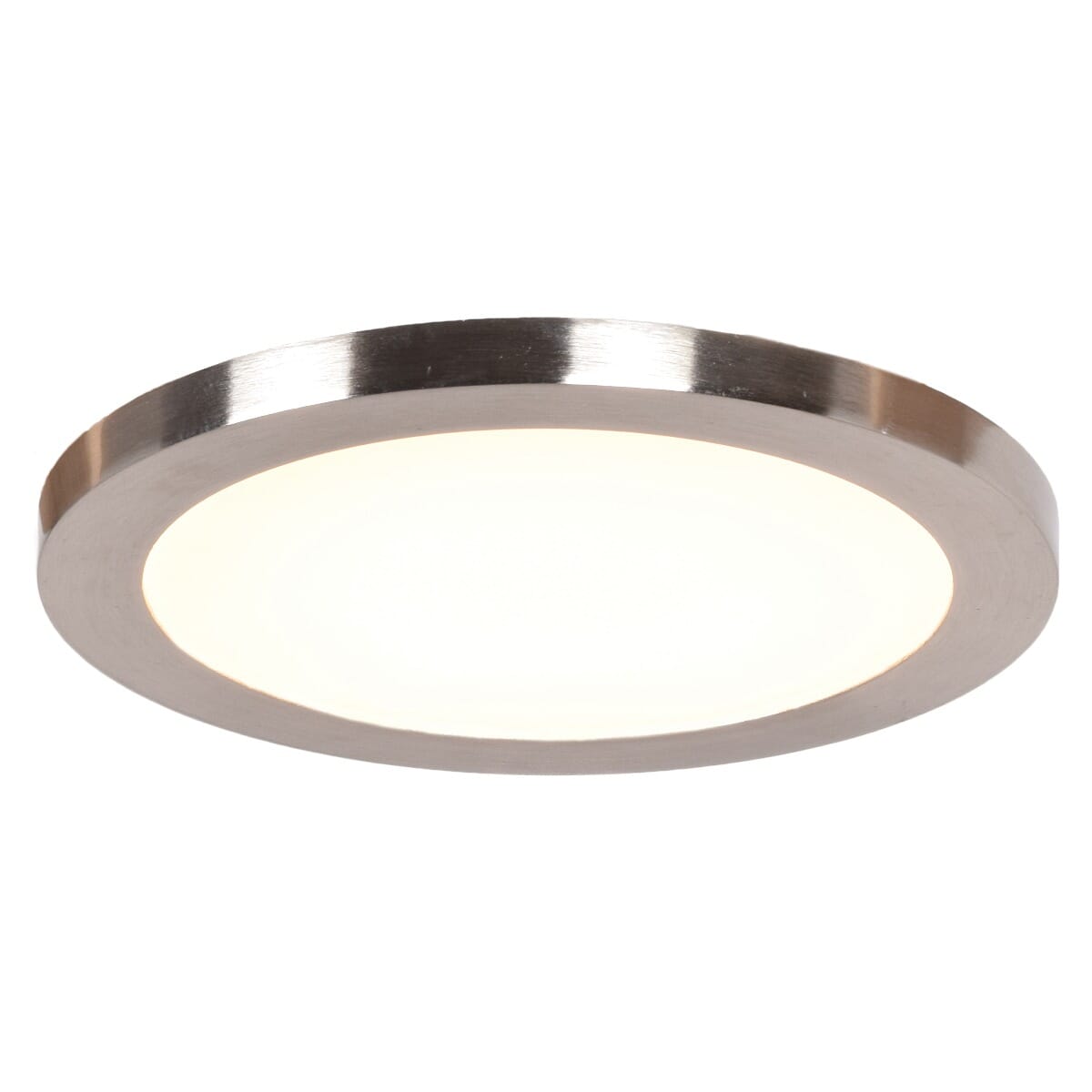 Access Disc Ceiling Light in Brushed Steel