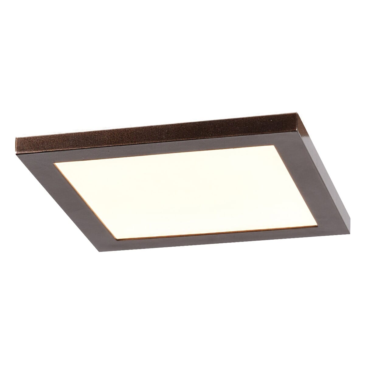 Access Boxer 10" Ceiling Light in Bronze