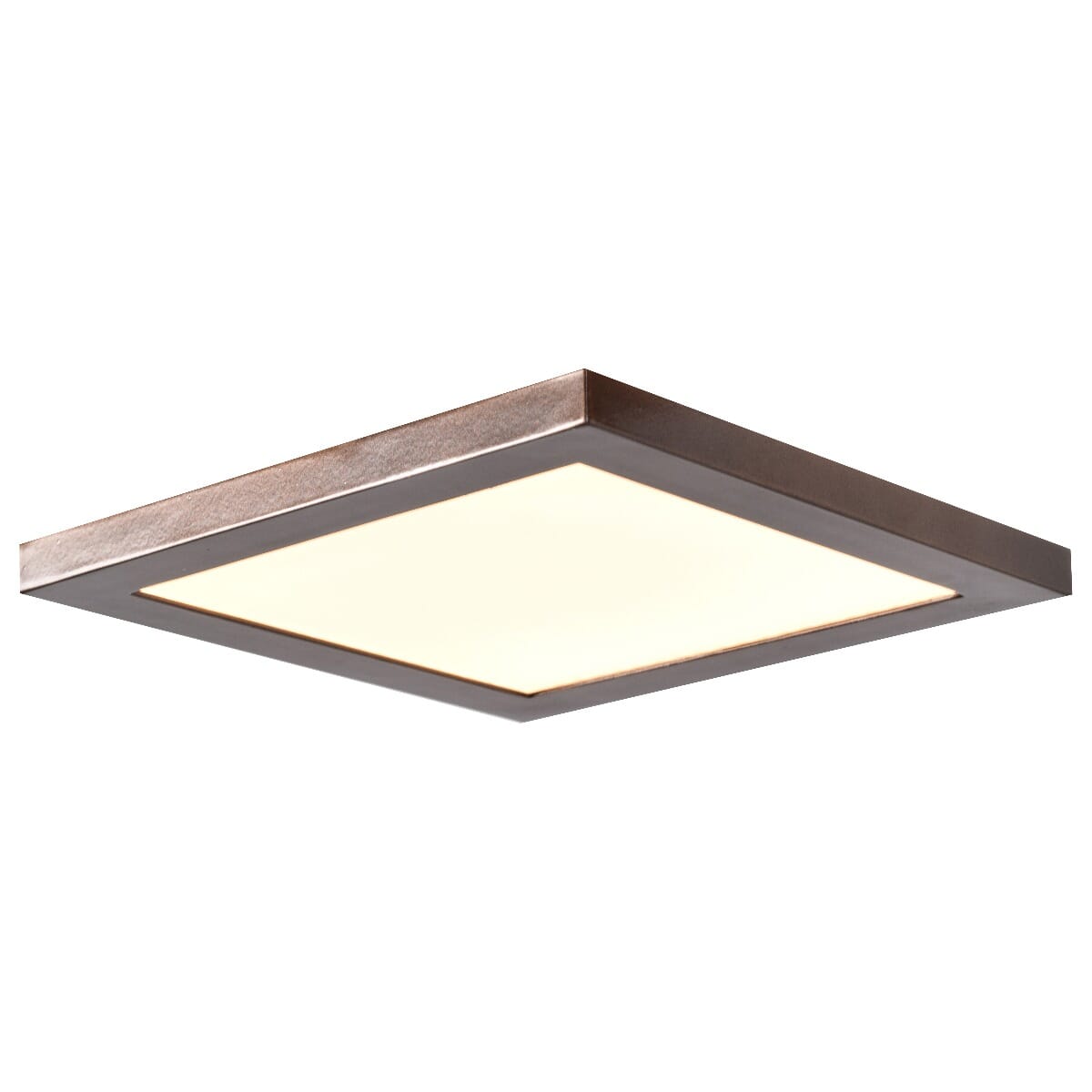 Access Boxer 8" Ceiling Light in Brushed Steel