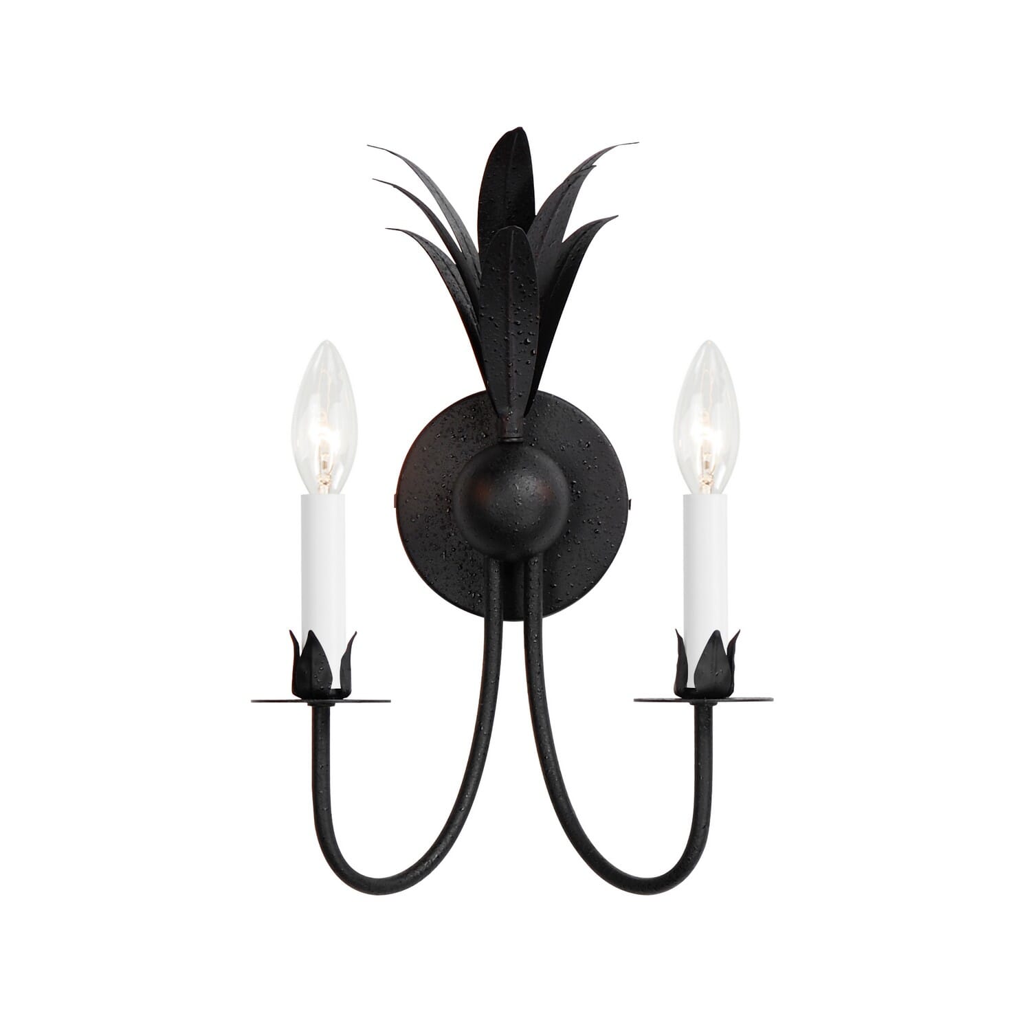 Anthracite Two Light Wall Sconce from the Paloma Collection