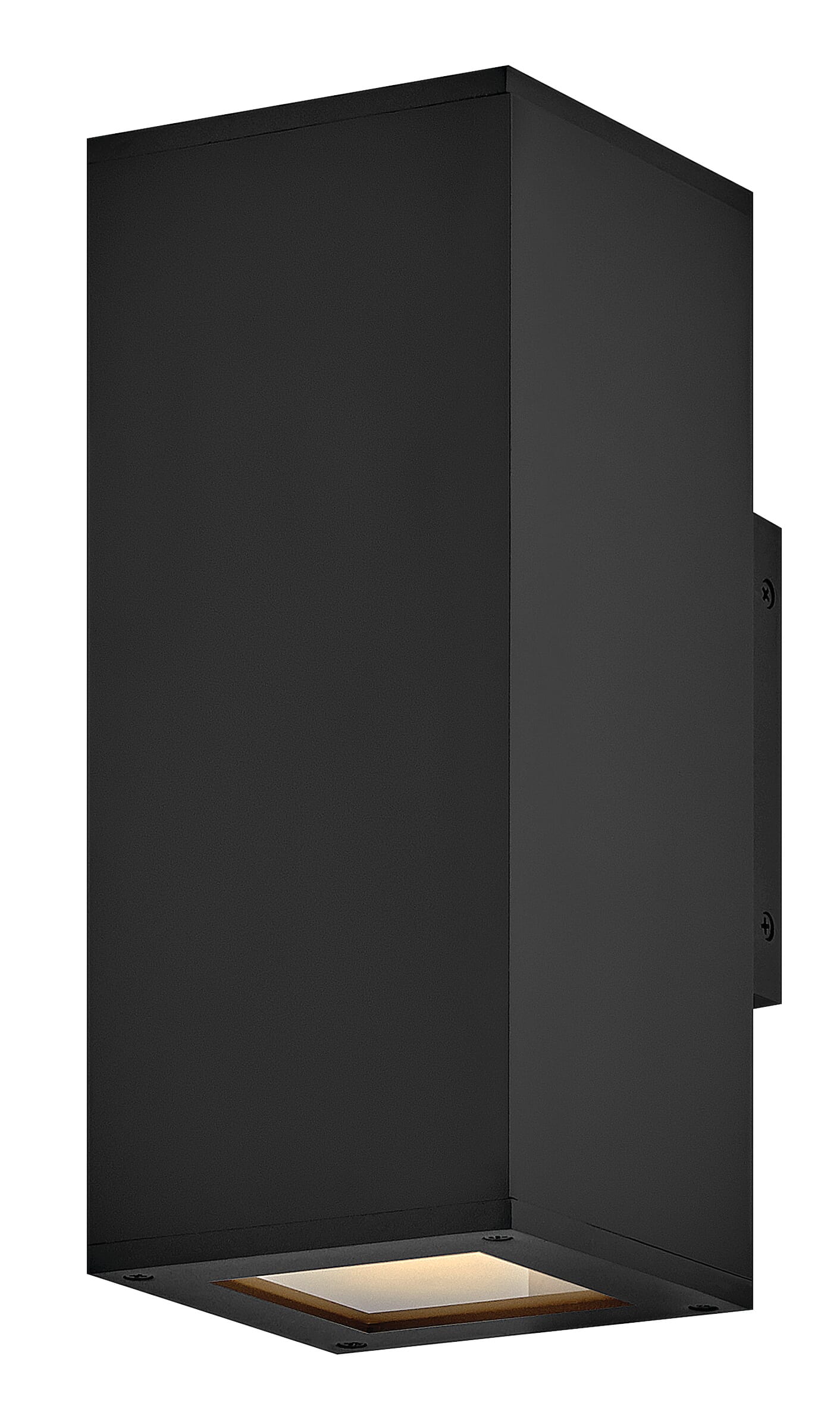Tetra 2-Light LED Wall Mount in Black