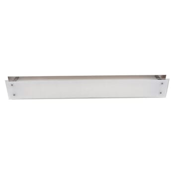Access Vision 2-Light Wall/Ceiling Mount in Brushed Steel