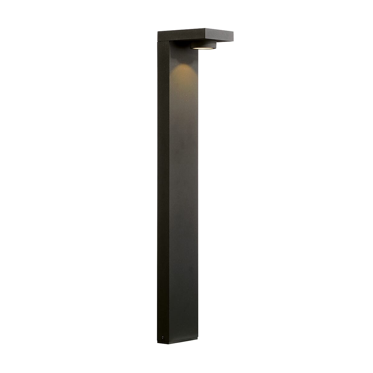 Pallito 1-Light Out… - image