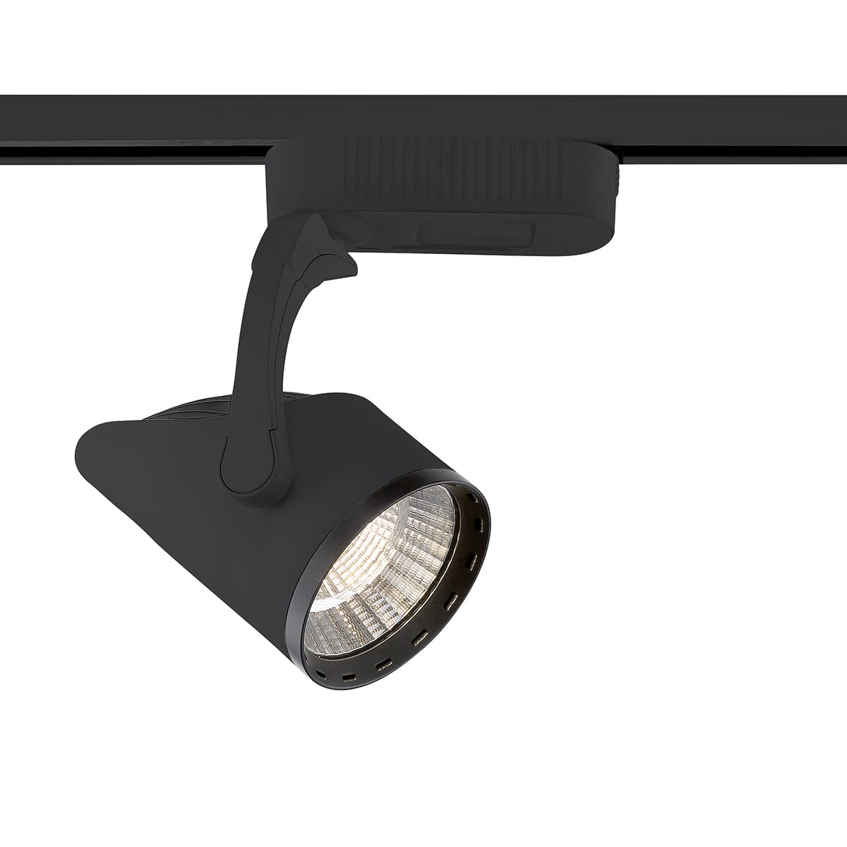 32365 1-Light Track Lighting in Black