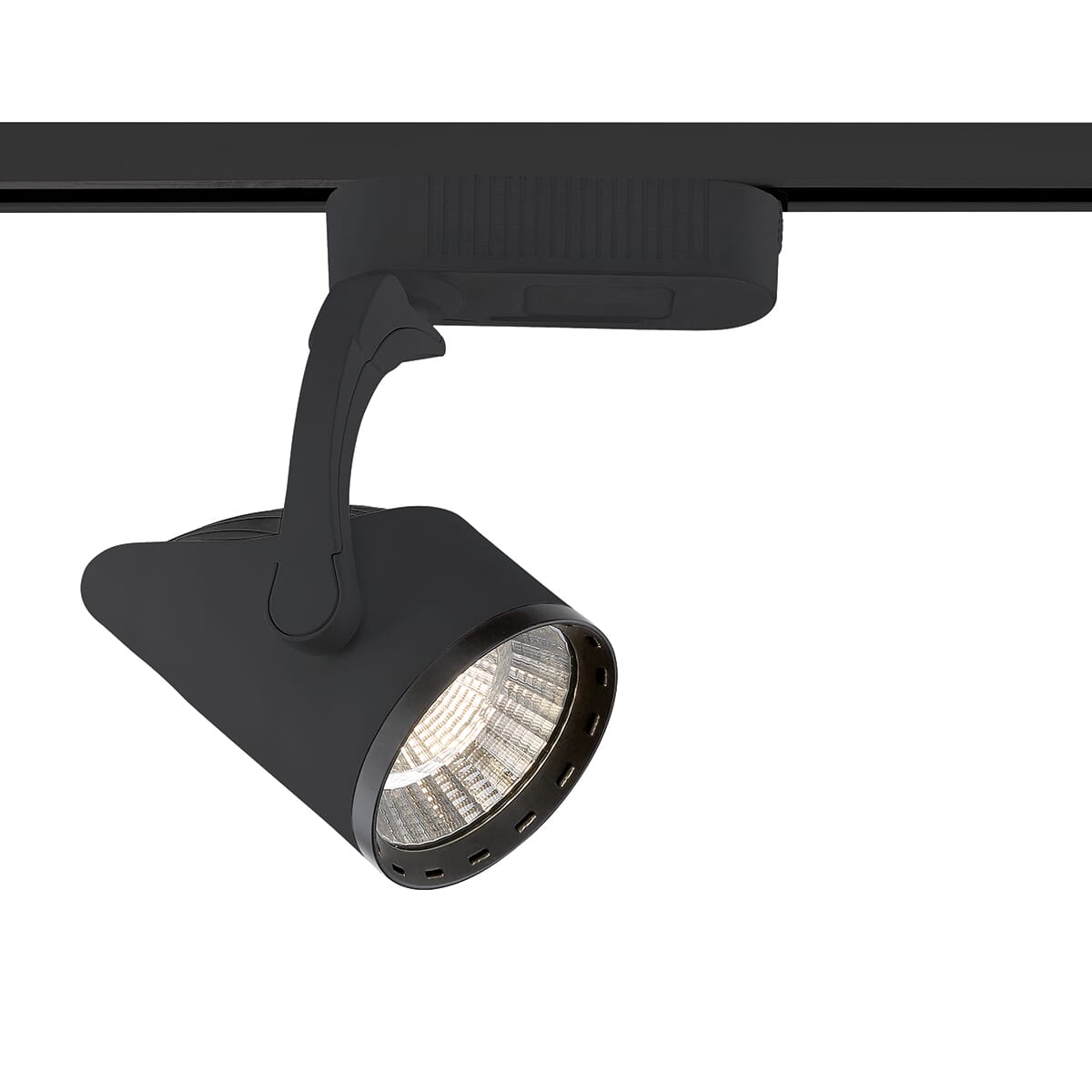 32366 1-Light Track Lighting in Black