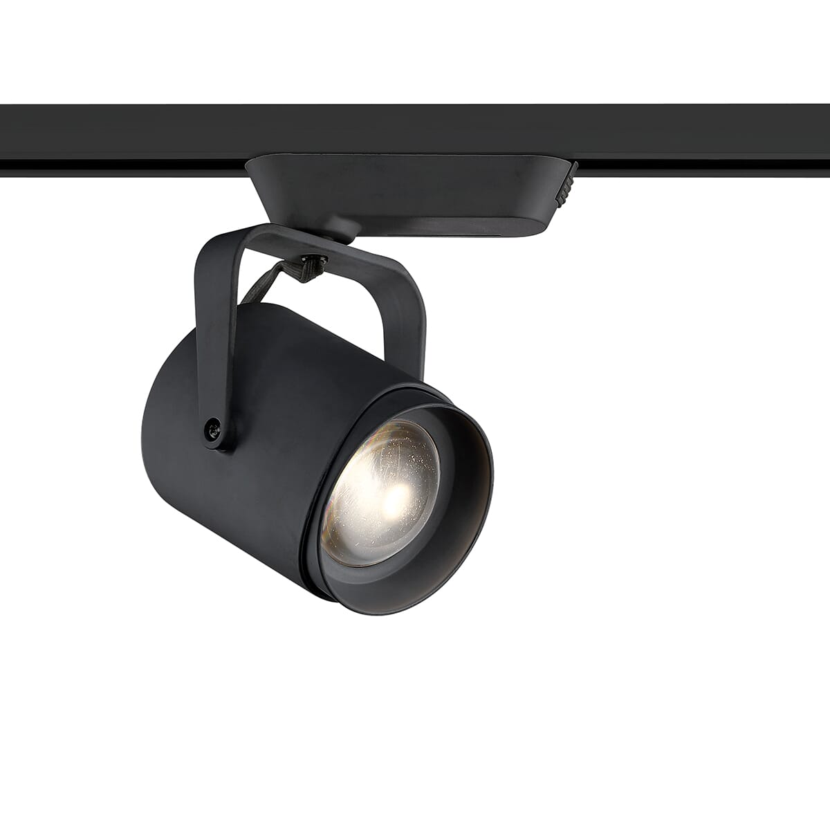 32367 1-Light Track Lighting in Black