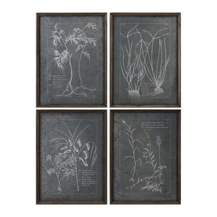 Uttermost Root Study Print Art in Natural Brown Stained Fir (Set of 4) Uttermost Root Study Print Art in Natural Brown Stained Fir (Set of 4)