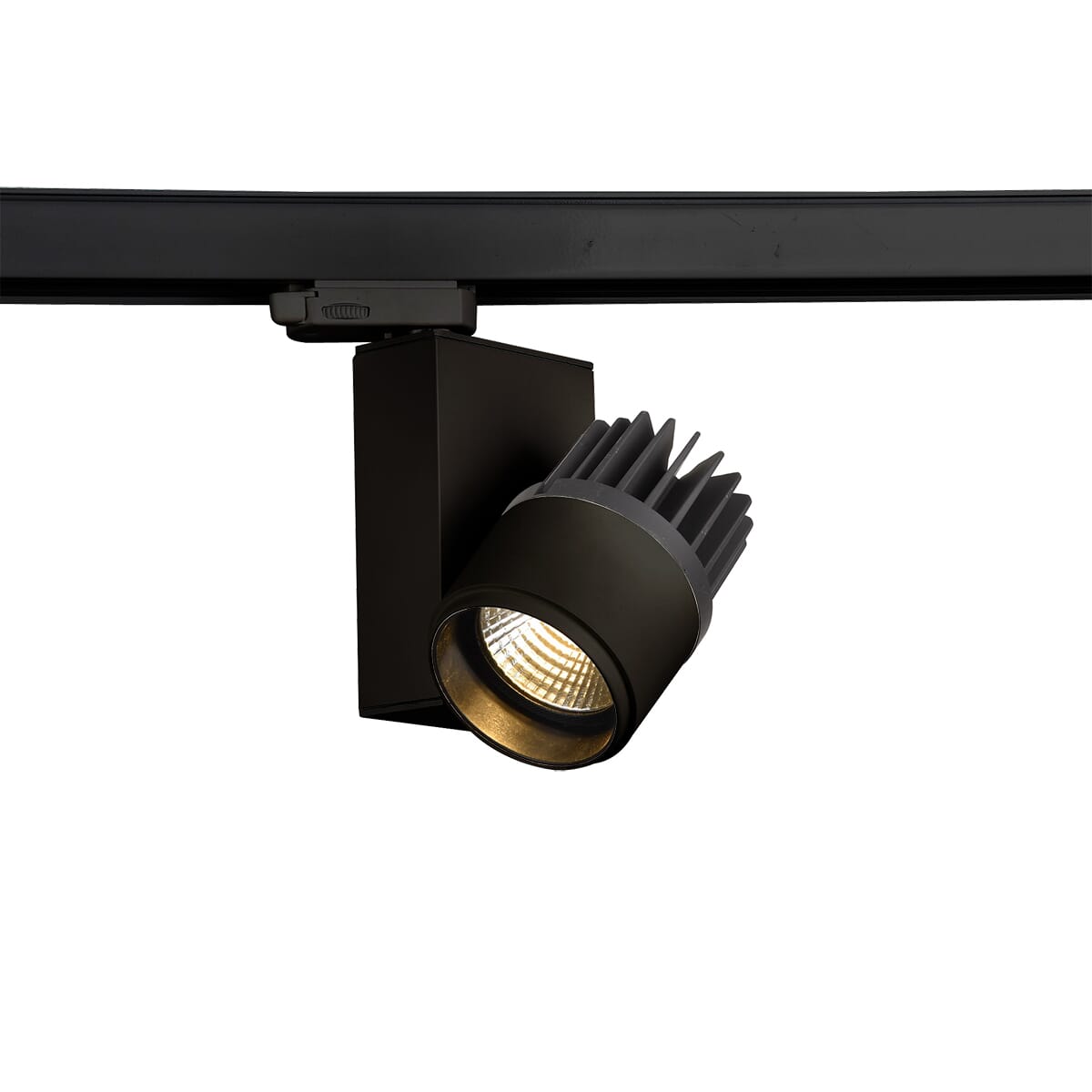 32989 1-Light Track Lighting in Black